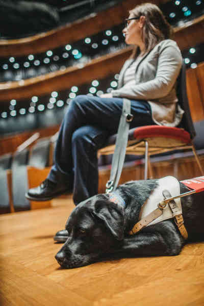 Zdjęcie. Wnętrze filharmonii. Kobieta siedzi na krześle. Obok niej leży pies w białej uprzęży